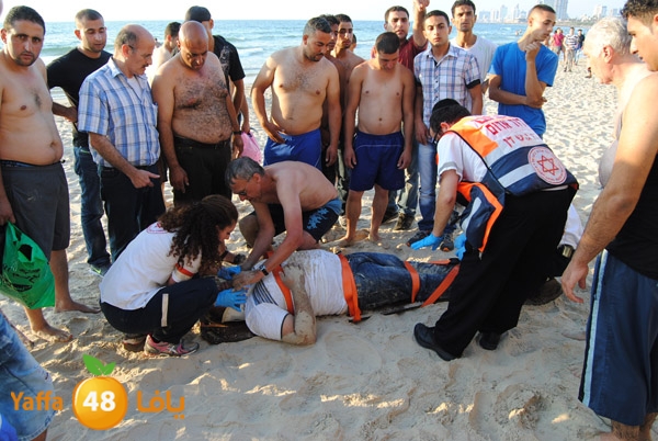 fallen from above 811 (10).JPG